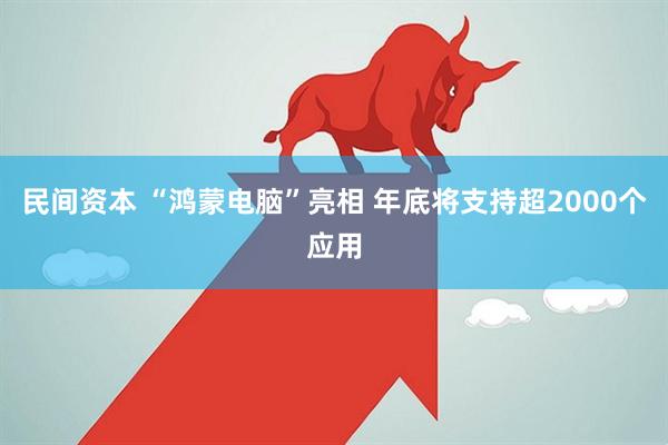 民间资本 “鸿蒙电脑”亮相 年底将支持超2000个应用