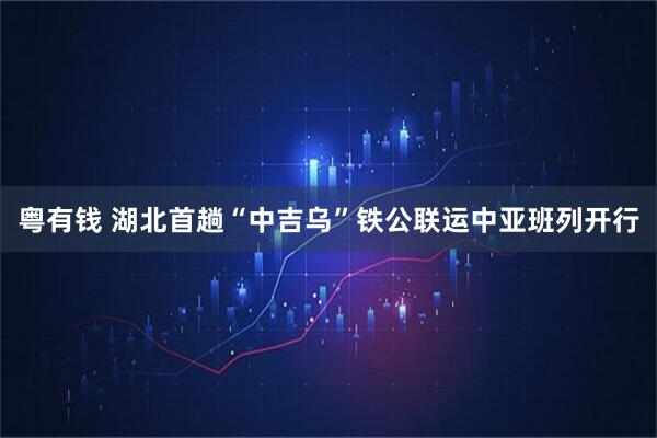 粤有钱 湖北首趟“中吉乌”铁公联运中亚班列开行