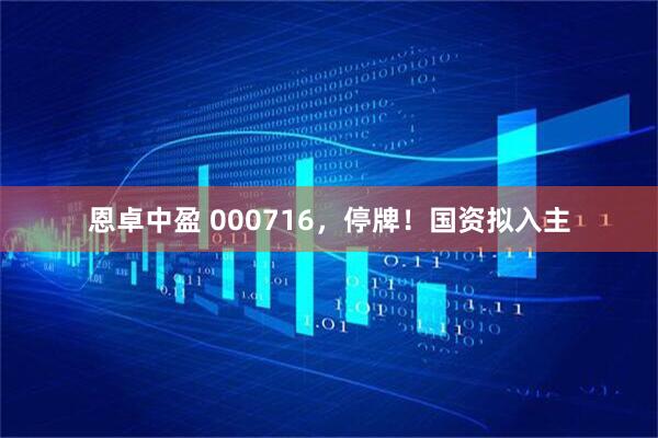 恩卓中盈 000716，停牌！国资拟入主